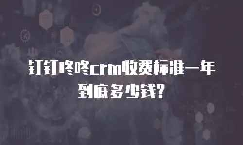 钉钉咚咚crm收费标准一年到底多少钱？