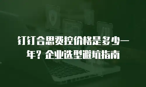 钉钉合思费控价格是多少一年？企业选型避坑指南