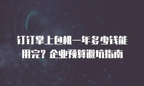 钉钉掌上包机一年多少钱能用完？企业预算避坑指南