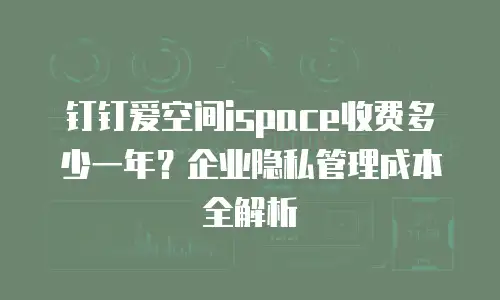 钉钉爱空间ispace收费多少一年？企业隐私管理成本全解析