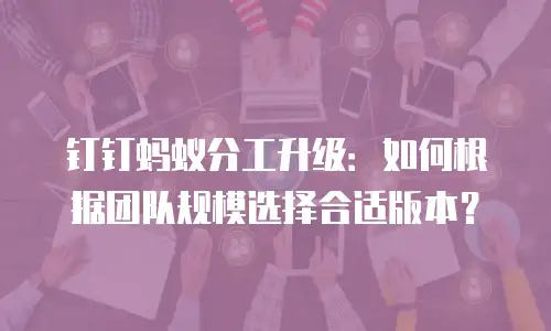 钉钉蚂蚁分工升级：如何根据团队规模选择合适版本？