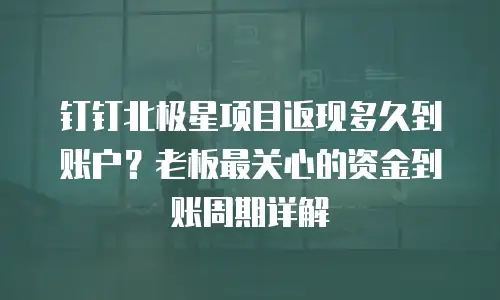 钉钉北极星项目返现多久到账户？老板最关心的资金到账周期详解