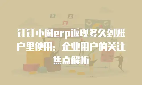 钉钉小圈erp返现多久到账户里使用：企业用户的关注焦点解析
