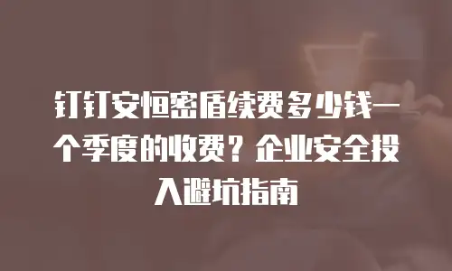 钉钉安恒密盾续费多少钱一个季度的收费？企业安全投入避坑指南