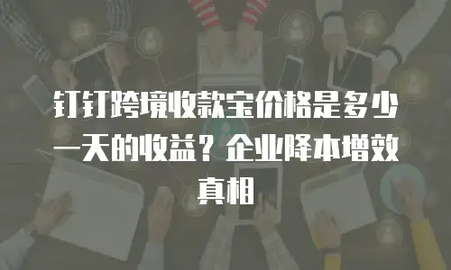 钉钉跨境收款宝价格是多少一天的收益？企业降本增效真相