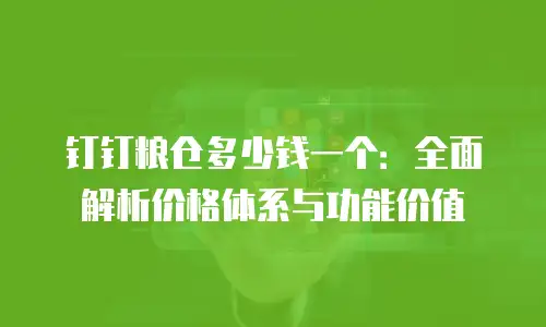 钉钉粮仓多少钱一个：全面解析价格体系与功能价值