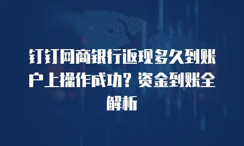 钉钉网商银行返现多久到账户上操作成功？资金到账全解析