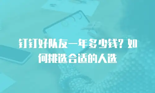 钉钉好队友一年多少钱？如何挑选合适的人选