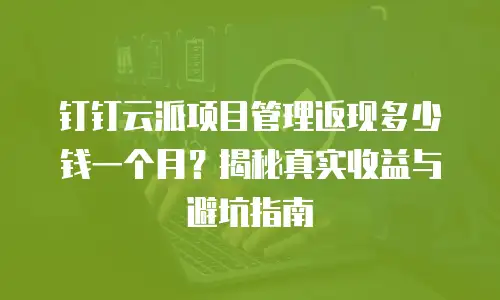 钉钉云派项目管理返现多少钱一个月？揭秘真实收益与避坑指南