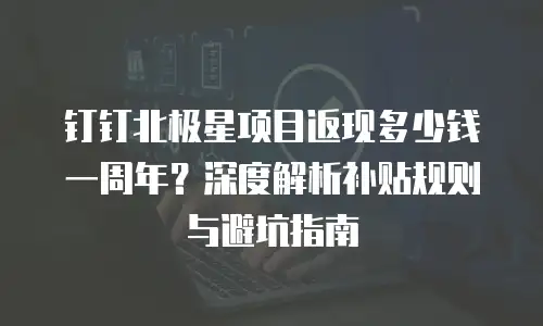 钉钉北极星项目返现多少钱一周年？深度解析补贴规则与避坑指南
