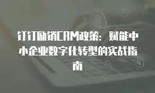 钉钉励销CRM政策：赋能中小企业数字化转型的实战指南