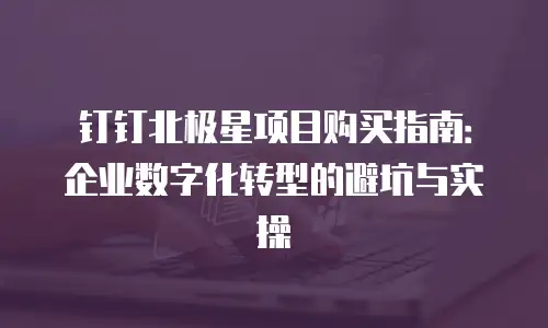 钉钉北极星项目购买指南：企业数字化转型的避坑与实操
