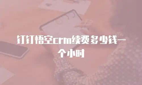 钉钉悟空crm续费多少钱一个小时