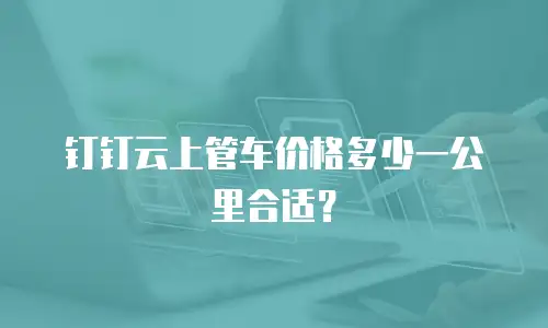 钉钉云上管车价格多少一公里合适？
