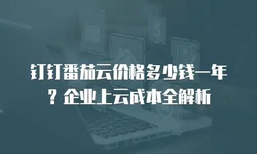 钉钉番茄云价格多少钱一年？企业上云成本全解析