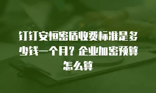 钉钉安恒密盾收费标准是多少钱一个月？企业加密预算怎么算