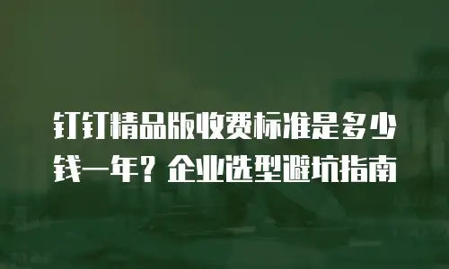 钉钉精品版收费标准是多少钱一年？企业选型避坑指南