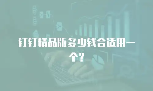 钉钉精品版多少钱合适用一个？