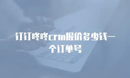 钉钉咚咚crm报价多少钱一个订单号