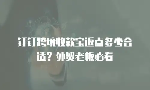 钉钉跨境收款宝返点多少合适？外贸老板必看