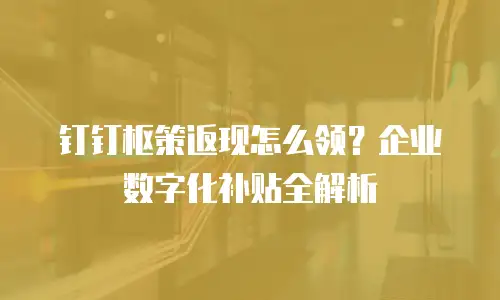 钉钉枢策返现怎么领？企业数字化补贴全解析