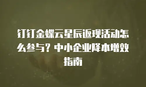 钉钉金蝶云星辰返现活动怎么参与？中小企业降本增效指南