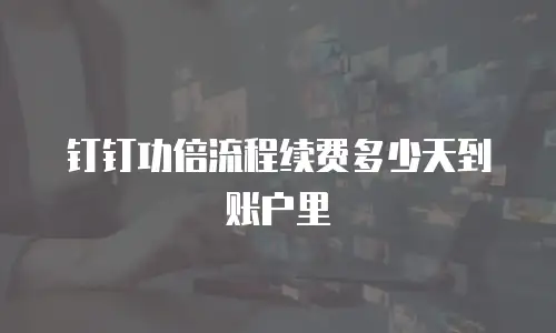 钉钉功倍流程续费多少天到账户里