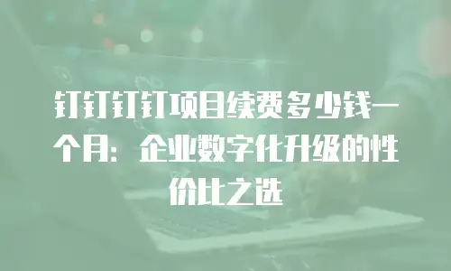 钉钉钉钉项目续费多少钱一个月：企业数字化升级的性价比之选