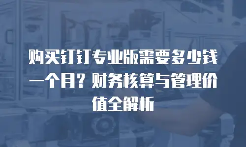 购买钉钉专业版需要多少钱一个月？财务核算与管理价值全解析