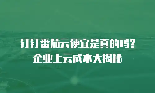 钉钉番茄云便宜是真的吗？企业上云成本大揭秘