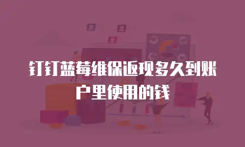 钉钉蓝莓维保返现多久到账户里使用的钱