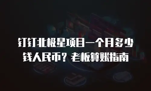 钉钉北极星项目一个月多少钱人民币？老板算账指南