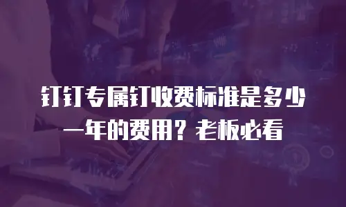 钉钉专属钉收费标准是多少一年的费用？老板必看