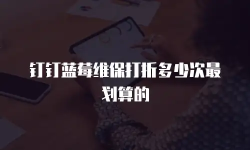 钉钉蓝莓维保打折多少次最划算的