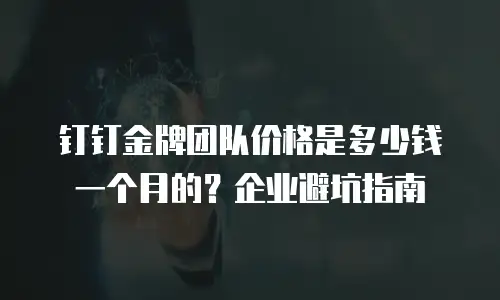 钉钉金牌团队价格是多少钱一个月的？企业避坑指南