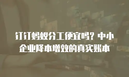 钉钉蚂蚁分工便宜吗？中小企业降本增效的真实账本
