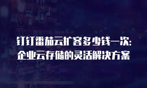 钉钉番茄云扩容多少钱一次：企业云存储的灵活解决方案
