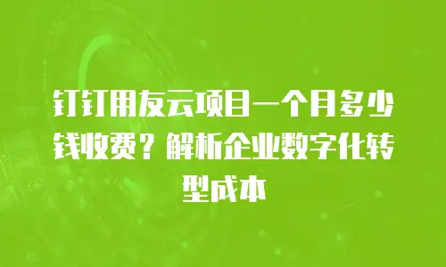 钉钉用友云项目一个月多少钱收费？解析企业数字化转型成本