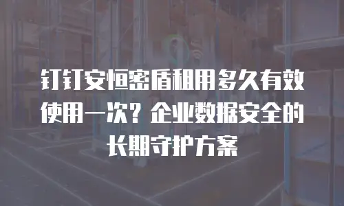 钉钉安恒密盾租用多久有效使用一次？企业数据安全的长期守护方案