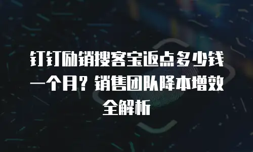 钉钉励销搜客宝返点多少钱一个月？销售团队降本增效全解析