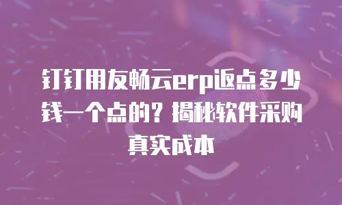 钉钉用友畅云erp返点多少钱一个点的？揭秘软件采购真实成本
