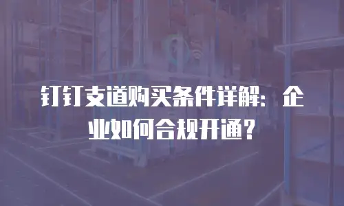 钉钉支道购买条件详解：企业如何合规开通？