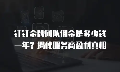钉钉金牌团队佣金是多少钱一年？揭秘服务商盈利真相