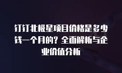 钉钉北极星项目价格是多少钱一个月的？全面解析与企业价值分析
