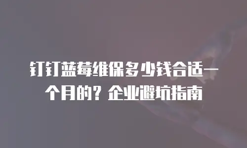 钉钉蓝莓维保多少钱合适一个月的？企业避坑指南