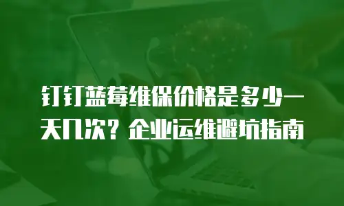 钉钉蓝莓维保价格是多少一天几次？企业运维避坑指南