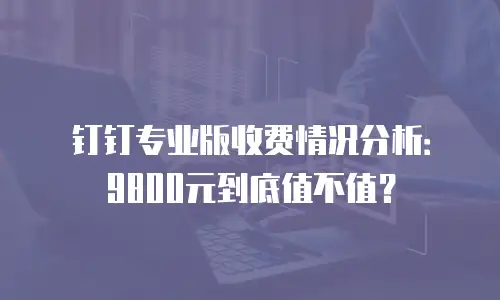 钉钉专业版收费情况分析：9800元到底值不值？
