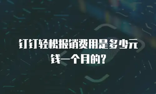 钉钉轻松报销费用是多少元钱一个月的？
