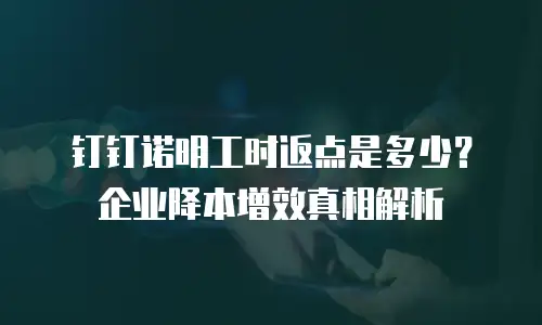 钉钉诺明工时返点是多少？企业降本增效真相解析