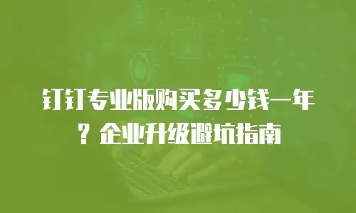 钉钉专业版购买多少钱一年？企业升级避坑指南